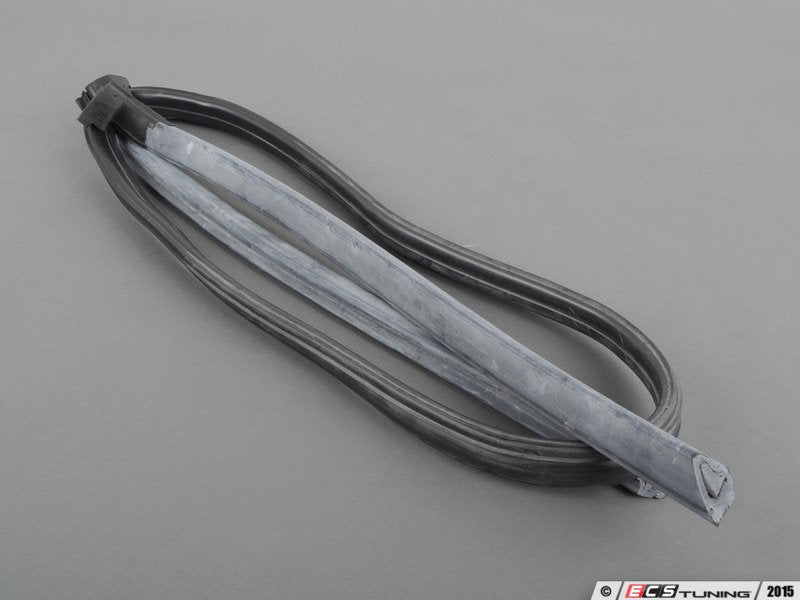 Windshield Frame Seal