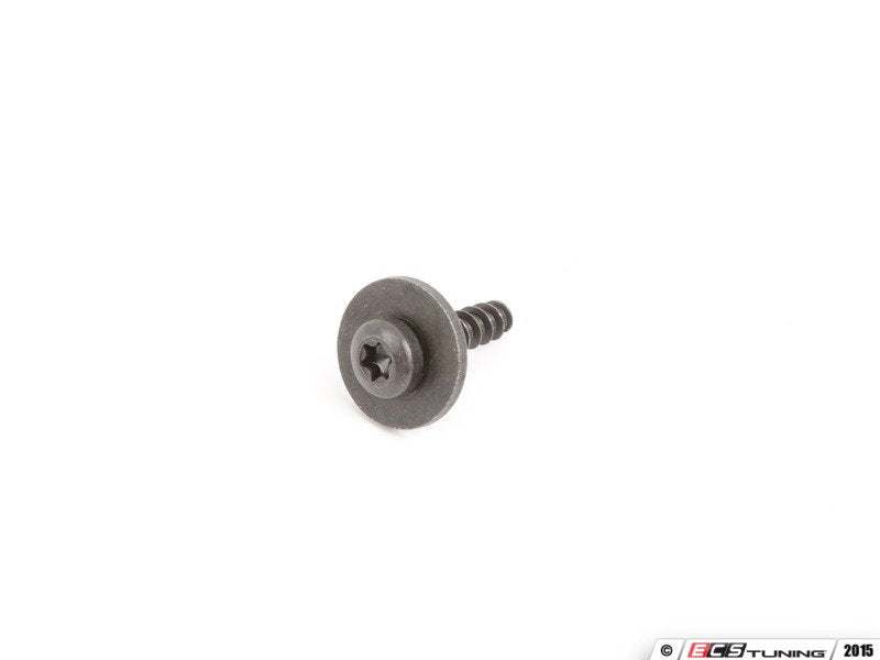 Torx Screw - Priced Each