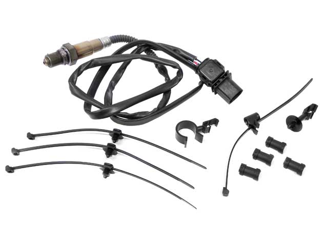 Oxygen Sensor