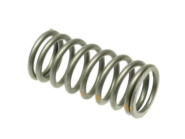 Valve Spring