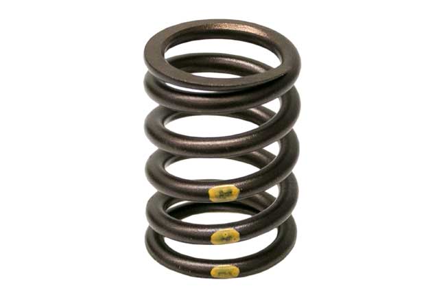 Valve Spring