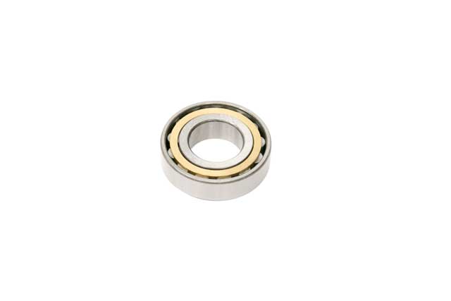 Pinion Shaft Nose Bearing