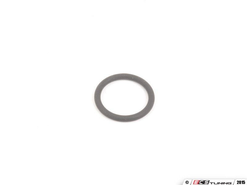 Fuel Injector O-Ring