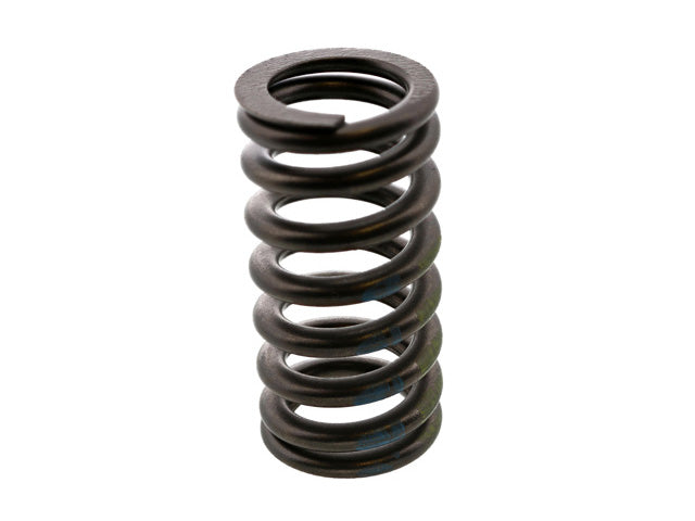 Valve Spring