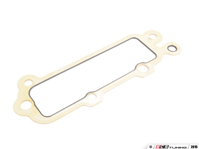 Timing Chain Case Gasket - Priced Each