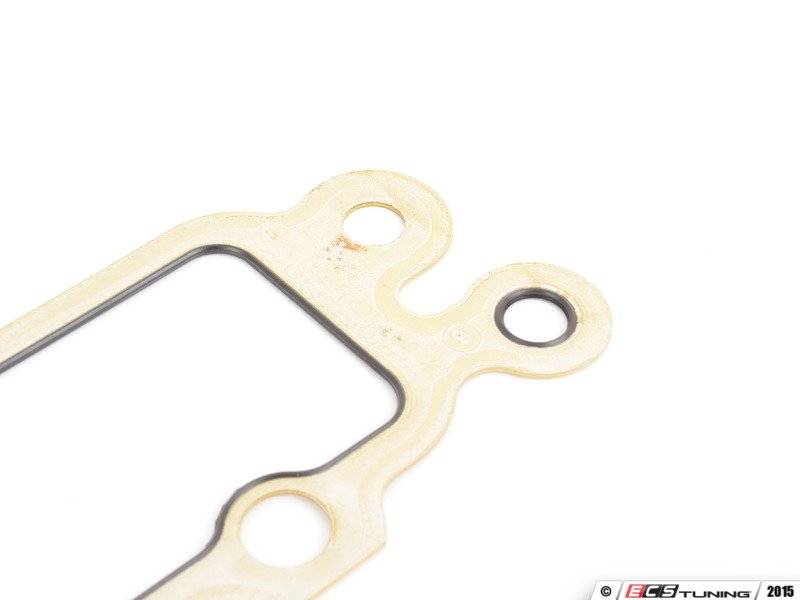 Timing Chain Case Gasket - Priced Each