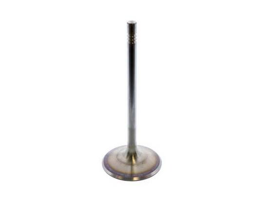 Intake Valve