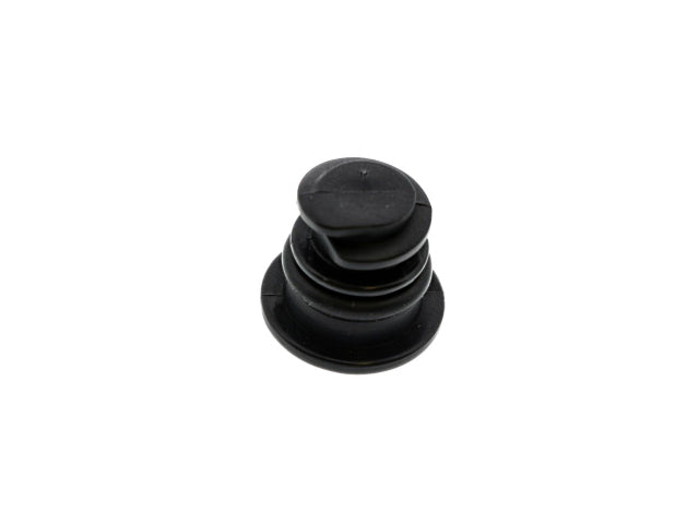 Engine Oil Drain Plug