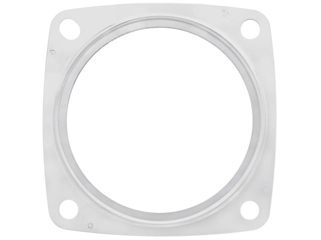 Exhaust Gasket