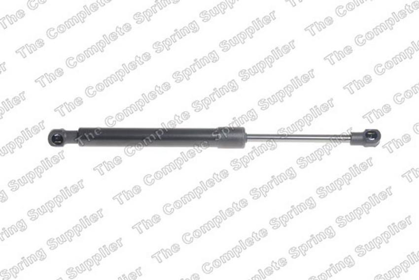 Trunk Lid Lift Support – Rear