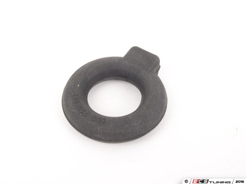 Exhaust Hanger - Retaining Ring