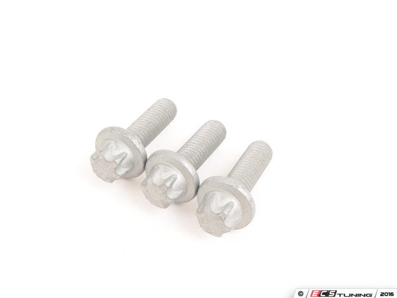 Water Pump Steel Screw - Set Of Three