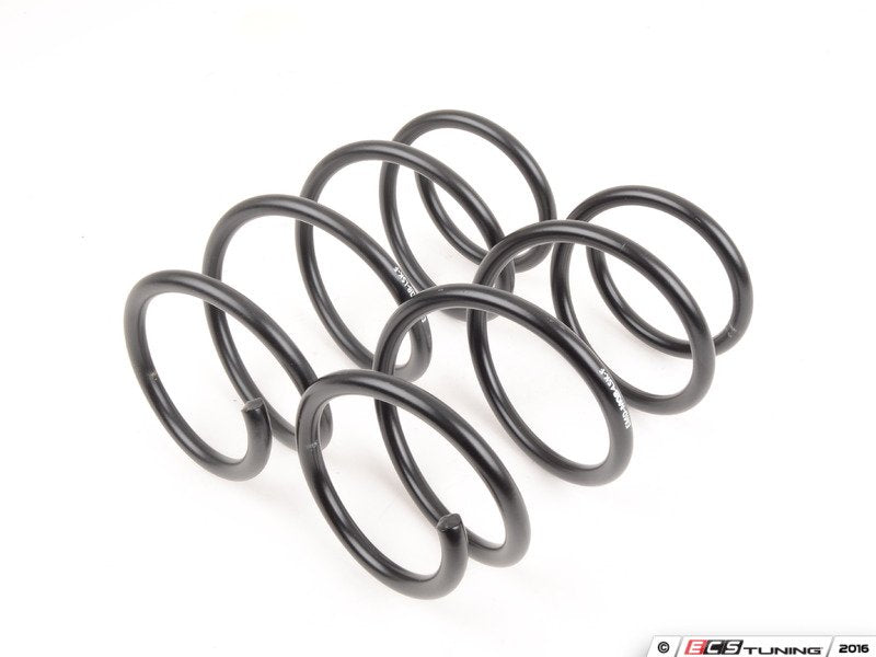 EMD Auto Lowering Spring Kit