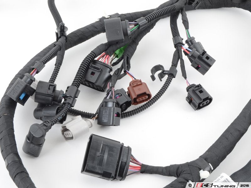 Engine Wiring Harness