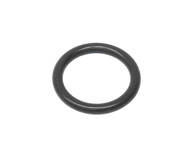 Fuel Filter O-Ring