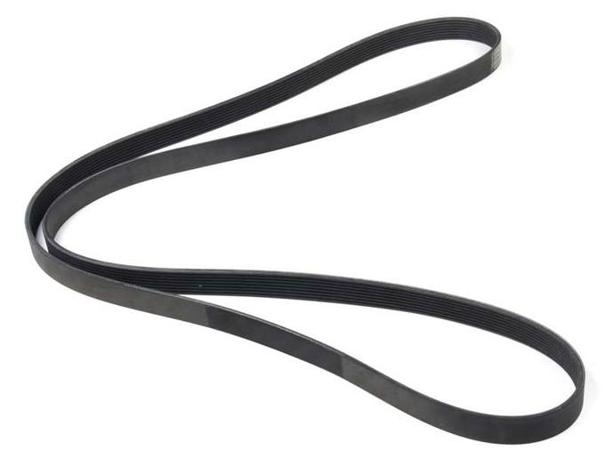 Accessory Drive Belt (8K 2465) (Alternator)