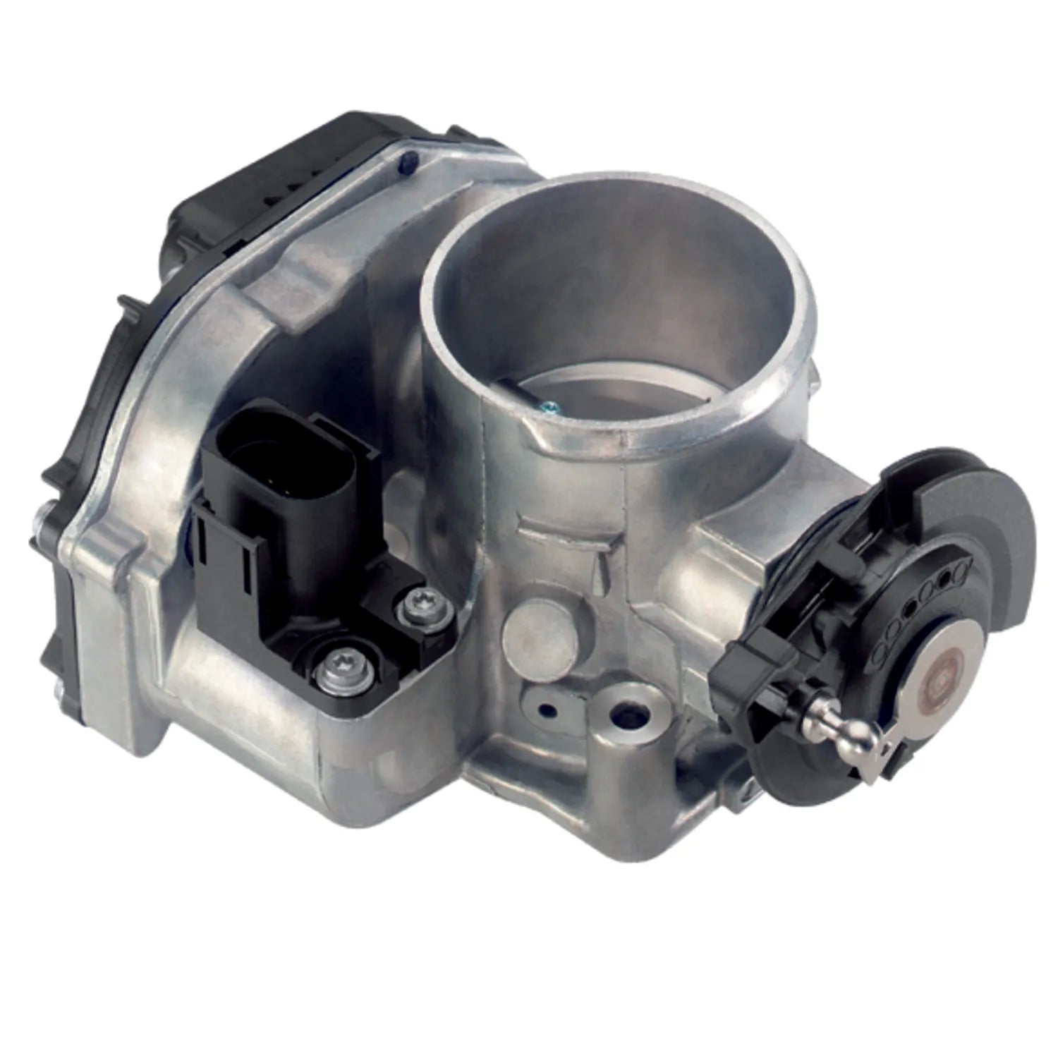 Throttle Body Assembly