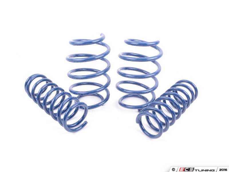 Performance Spring Set - E39 M5