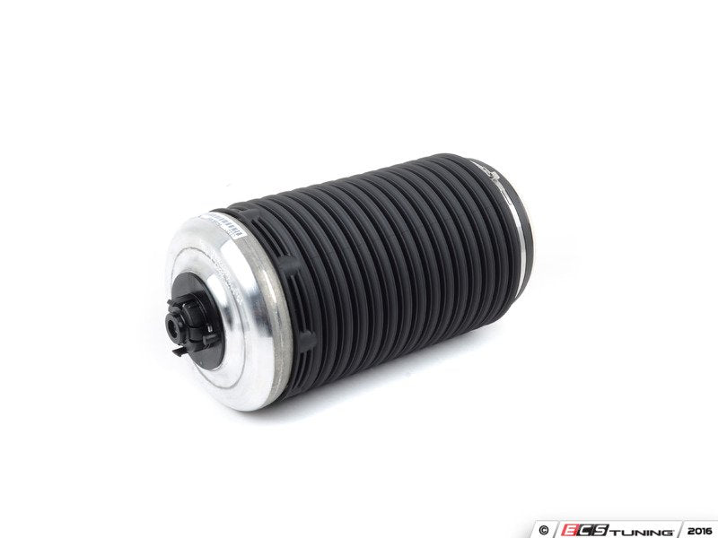 Rear Air Spring Damper - Left