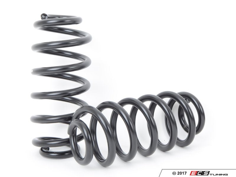 EMD Auto Lowering Spring Kit