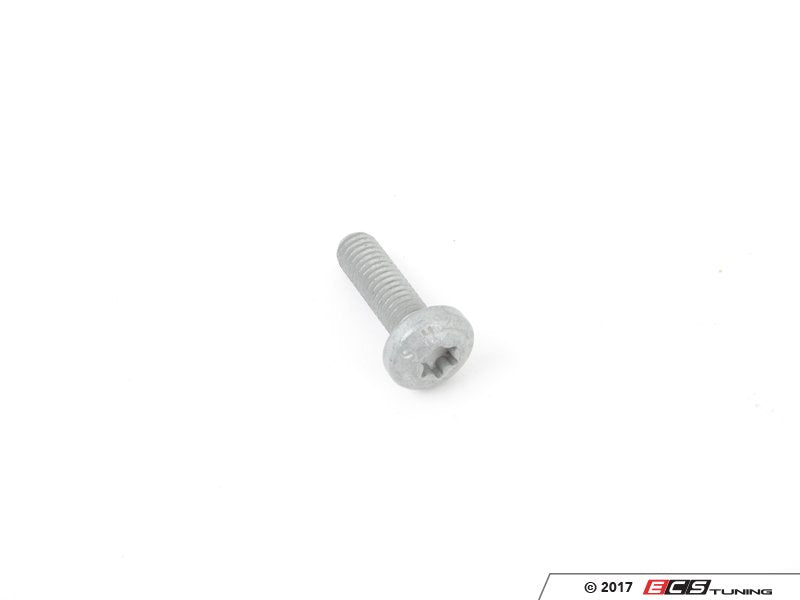 Torx Head Screw - Priced Each