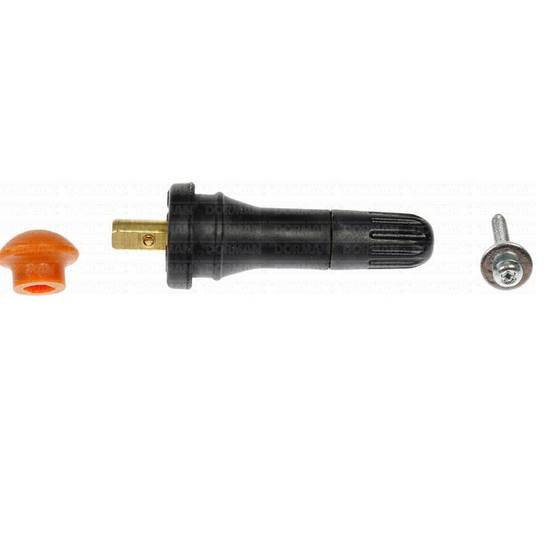 Audi BMW Tire Pressure Monitoring System Valve Kit – Dorman 974900