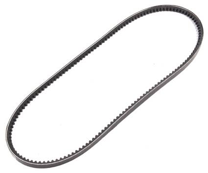 Accessory Drive Belt (10×925) (Alternator)