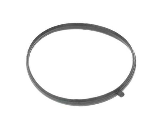 Throttle Body Gasket