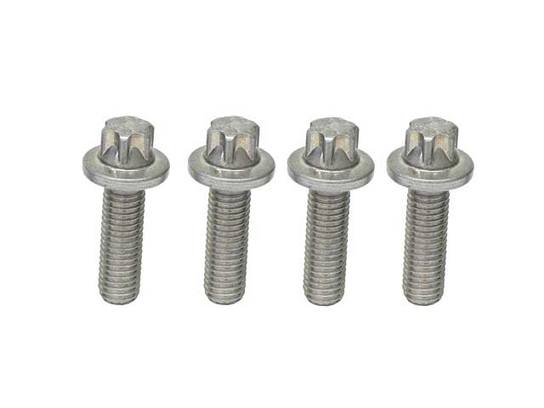 Rein Bolt Set – High Quality