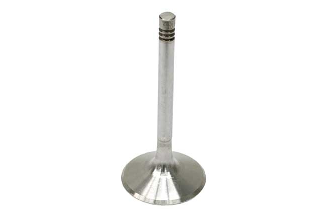 Intake Valve