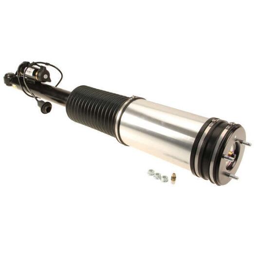 Suspension Strut Assembly – Rear (With Airmaic)