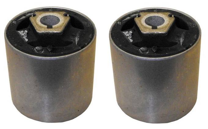 BMW Suspension Control Arm Bushing Kit – Front Lower Inner Forward 31120307882 – Rein AVB0056P