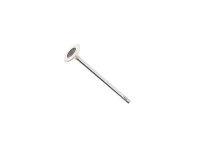 Exhaust Valve