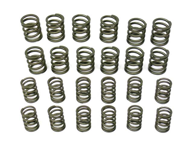 Valve Spring Set