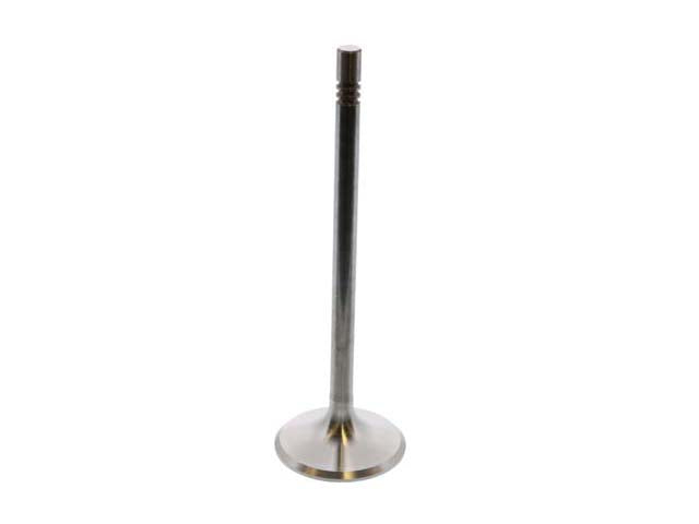 Exhaust Valve