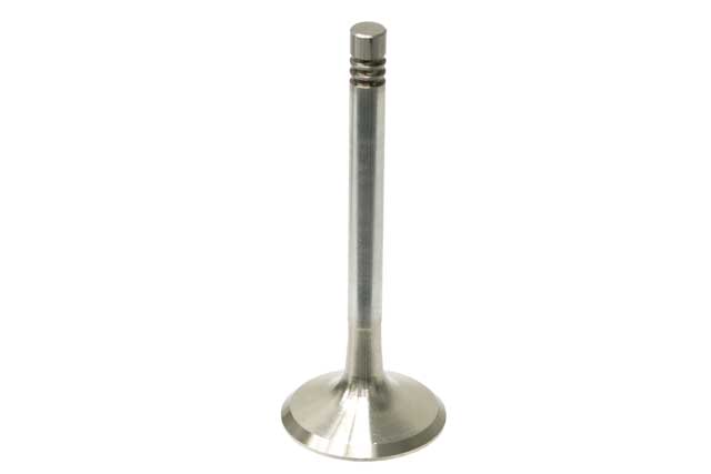 Exhaust Valve