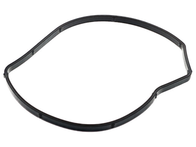 Water Pump Gasket