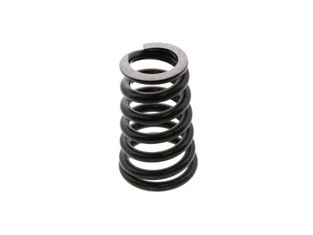 Valve Spring