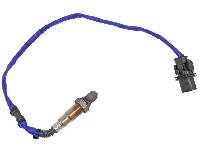 Oxygen Sensor