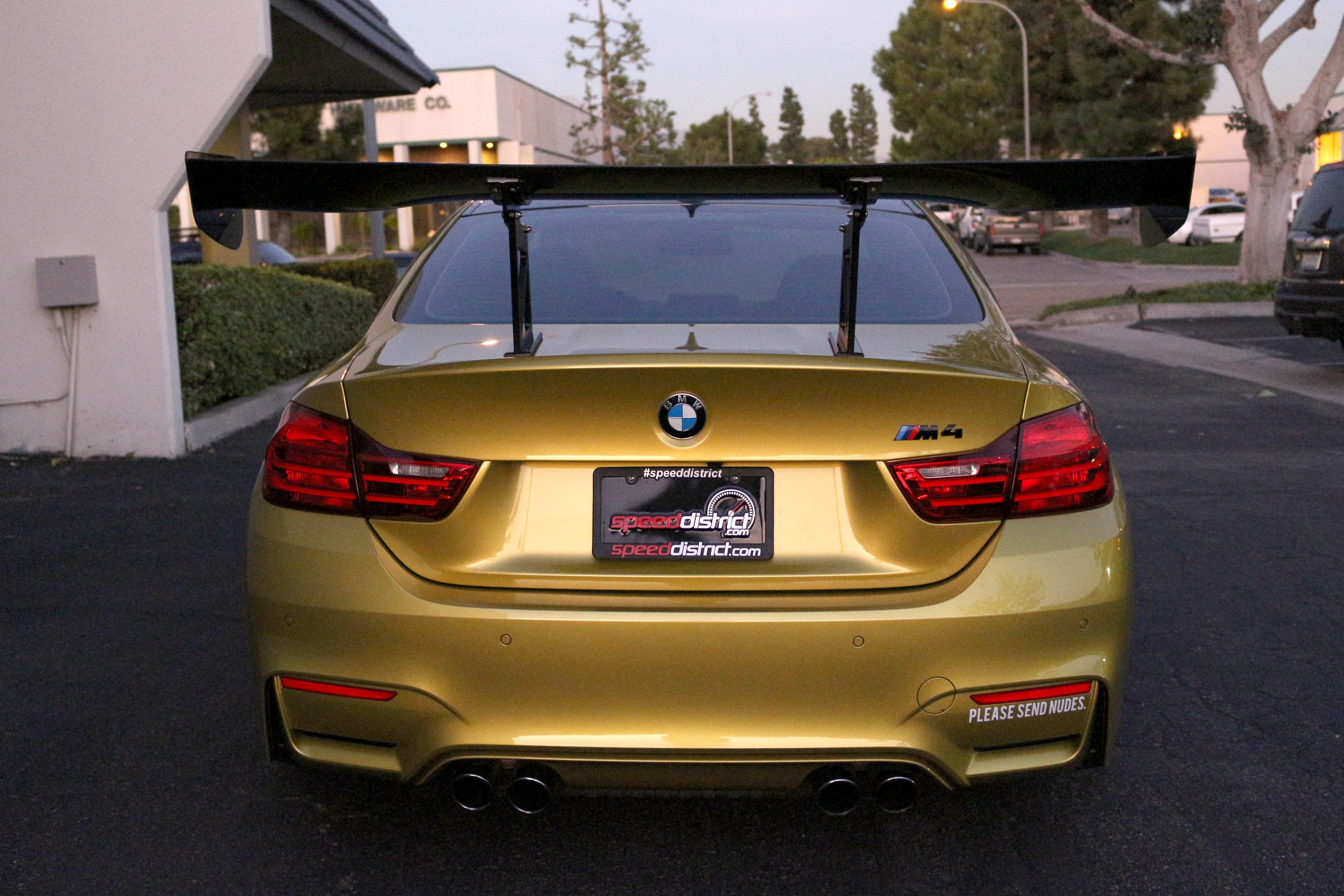 BMW F82 M4 GTC-300 Adjustable Wing 2015-19