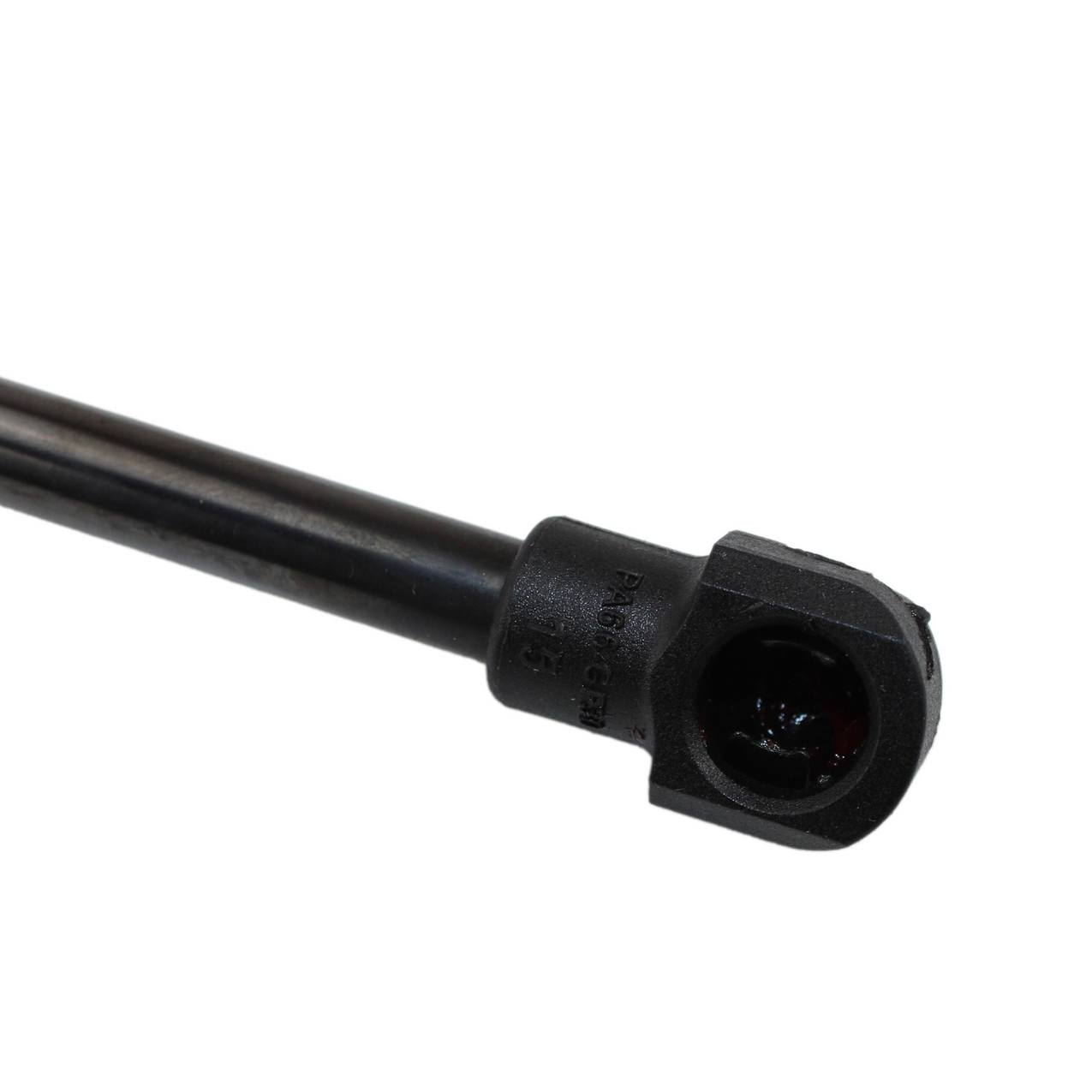 Audi Tailgate Lift Support 8104233