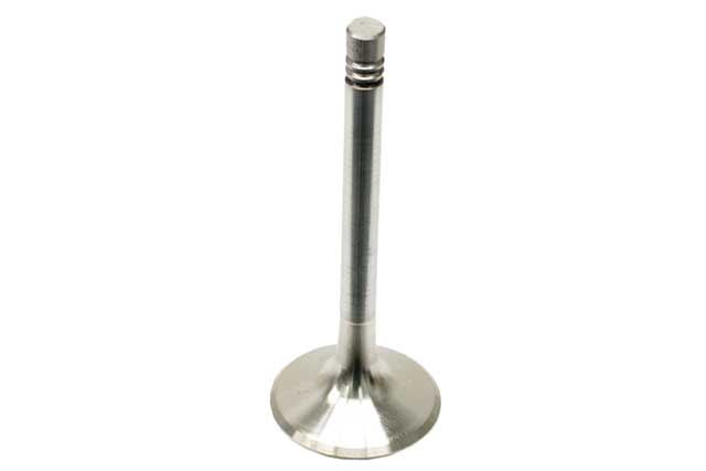 Exhaust Valve