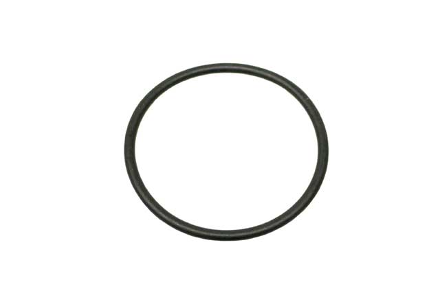 Thermostat O-Ring