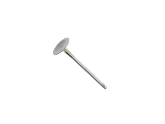 Intake Valve