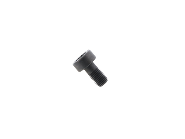 Flywheel Bolt