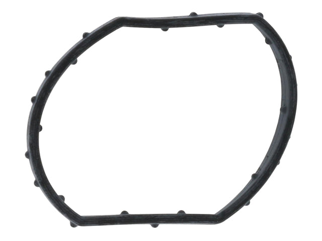 Thermostat Gasket