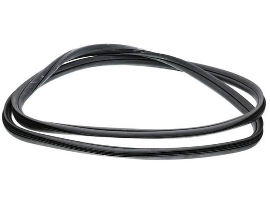 Windshield Seal