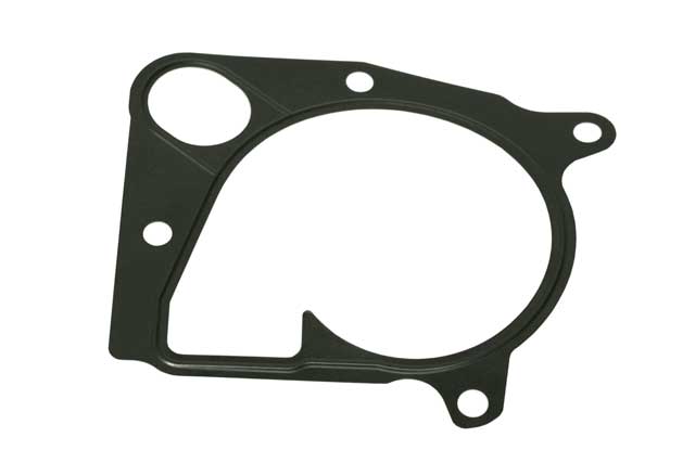 Water Pump Gasket