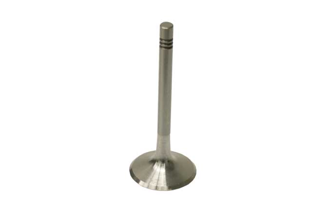 Intake Valve