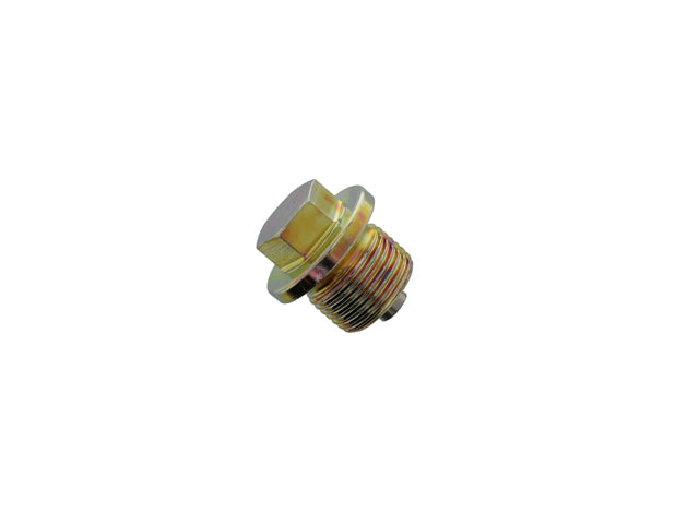 Engine Oil Drain Plug